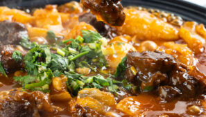 {{brizy_dc_image_alt imageSrc=